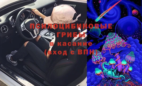 mdma Белокуриха