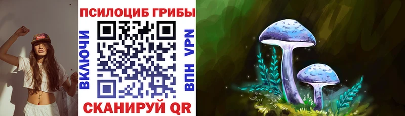 где можно купить   Плёс  Галлюциногенные грибы Psilocybe 