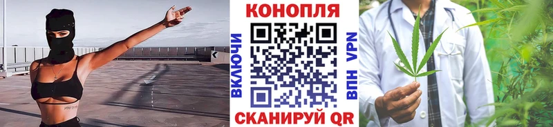 купить наркоту  блэк спрут сайт  Бошки Шишки сатива  Плёс 
